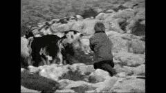 这个从战火中走来的世界杯MVP，用努力赢得了全世界的尊重