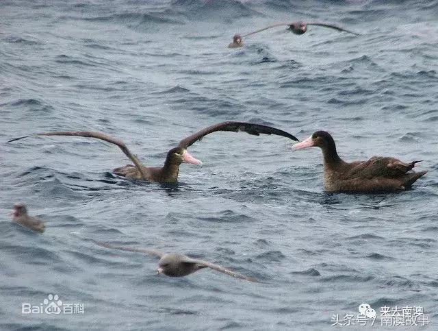 这座小岛究竟隐藏了多少秘密,一座鲜为人知的隐藏小岛