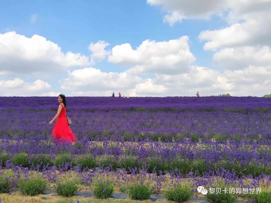 你们千呼万唤的红裙子，好看的都在这里了