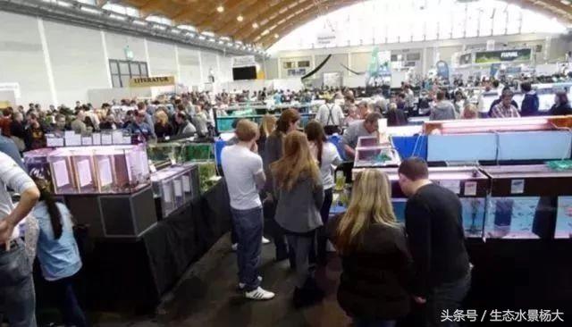 揭秘你不知道的江湖,你不知道的江湖