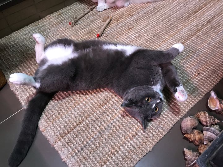 全屋实木家具布置 (家里装修设计实木家具)