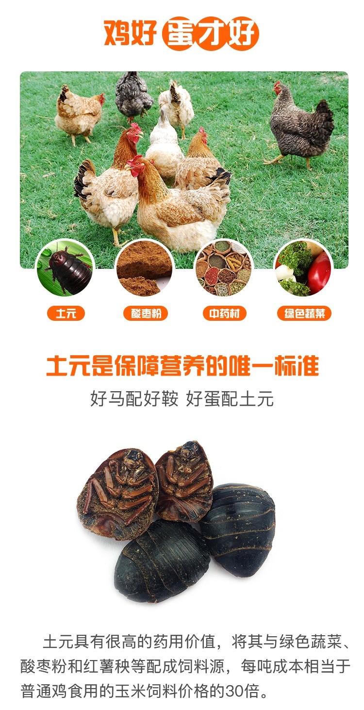 土元鸡蛋的功效与作用禁忌,以岭土元鸡蛋介绍