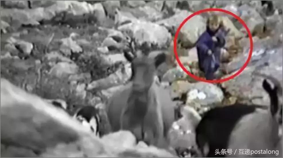 98年克罗地亚球员们经历过战争吗,战火中的克罗地亚队