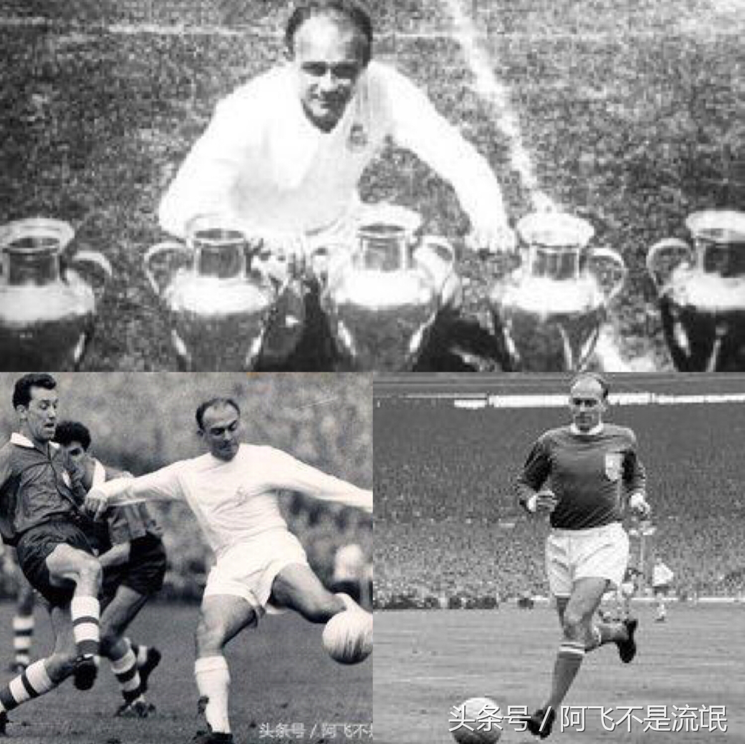 足坛10大传奇号数,足坛历史100大巨星排名