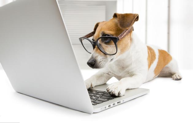 当“狗”成为一种普遍自称，你觉得对狗公平吗？