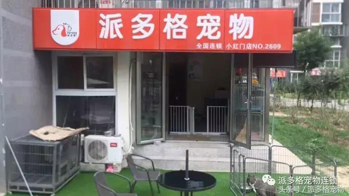 派多格宠物店卖什么,派多格宠物店资质