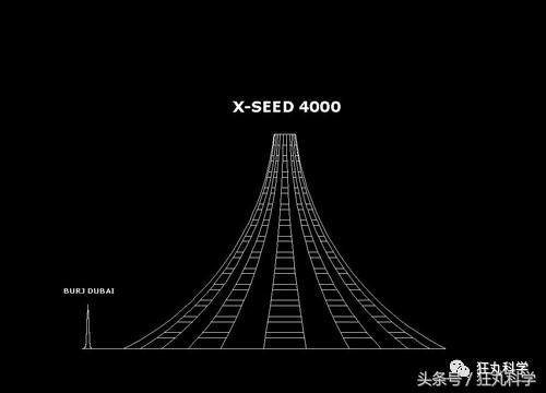 在人体上捏出等边直角三角形？现在的不科学网文真是要笑死我
