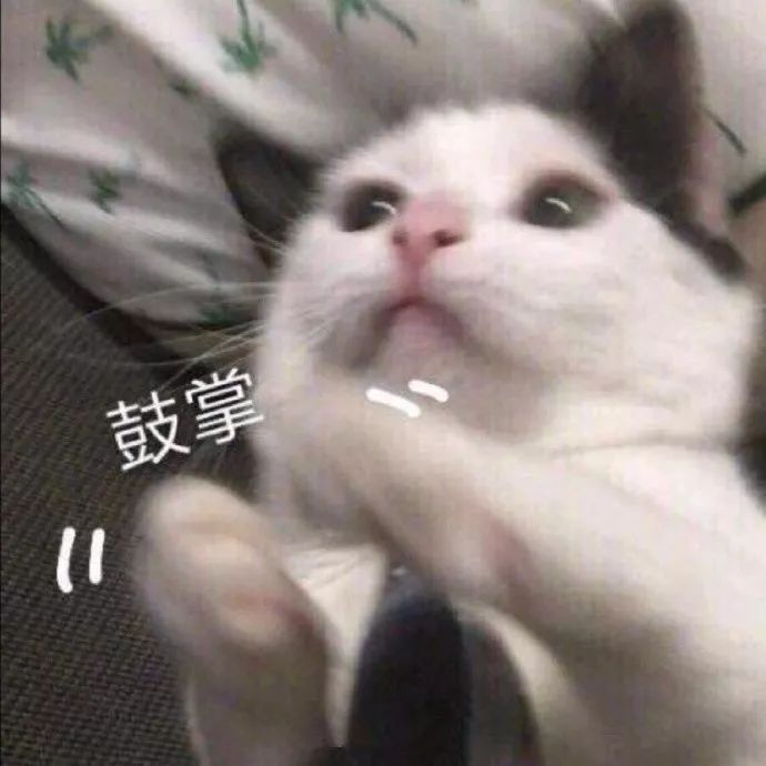 what？！星巴克可以点外卖了？网友：我们就是喜欢在店里拍照啊……