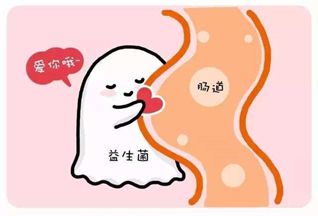 肠道菌群——您的隐藏“器官”