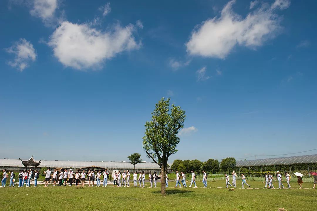 金山比较好的夏令营报名,金山区夏令营方案