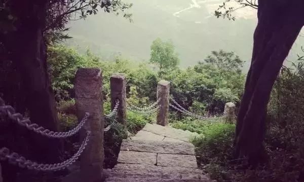 深圳免费景区一览表,深圳国际艺术博览会免费门票