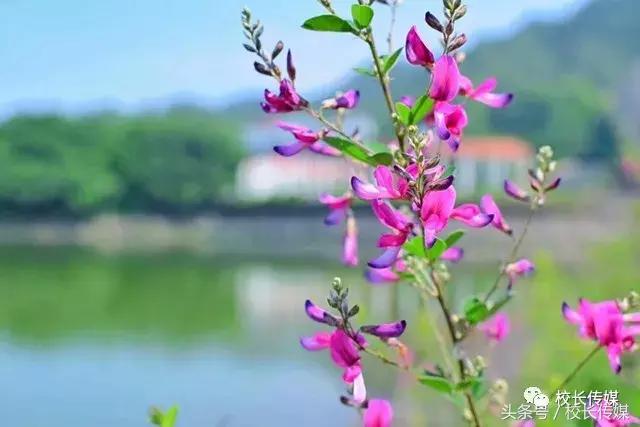 看世界杯决赛的过程,看世界杯决赛感受