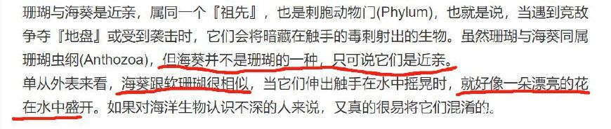 第五人格调香师cp图,第五人格摄影师调香师cp