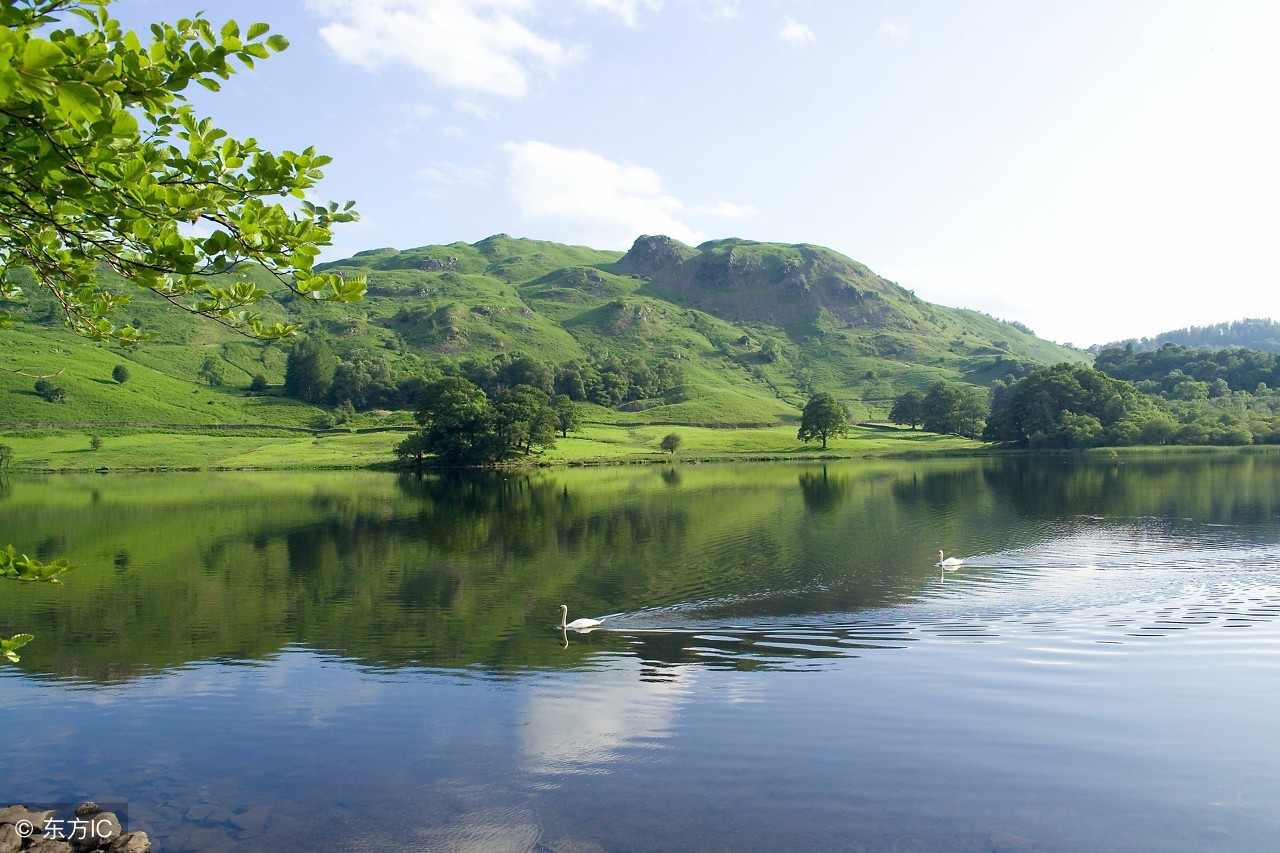 4-6岁儿童必背古诗咏鹅,咏鹅古诗朗诵儿歌