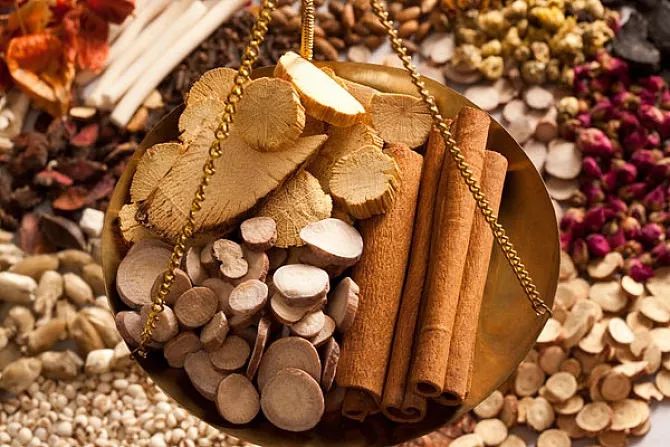 中药理论依据,中药经典名方实验