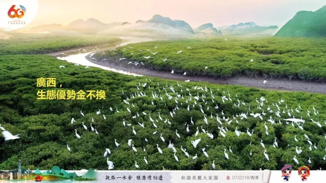 在广西代表团讲话,广西代表团来到深圳