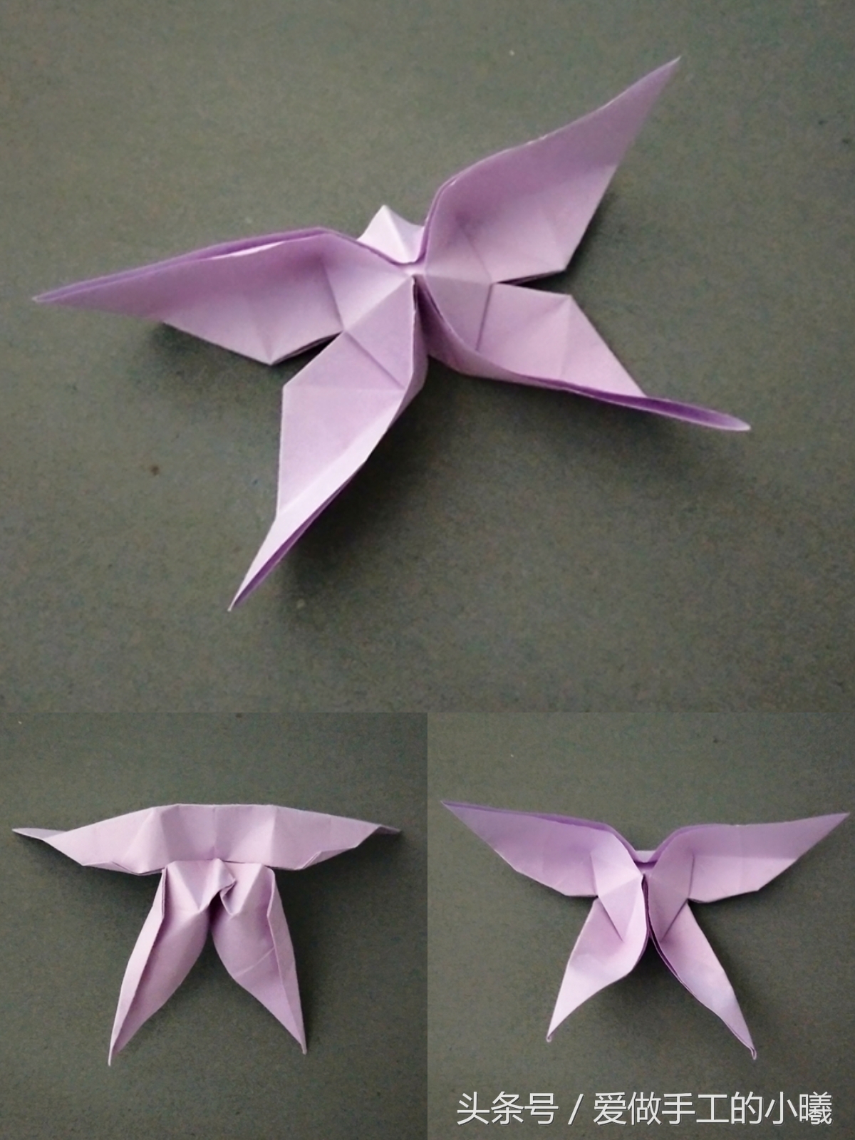 折纸蝴蝶折纸小鸡,折纸王子折纸蝴蝶