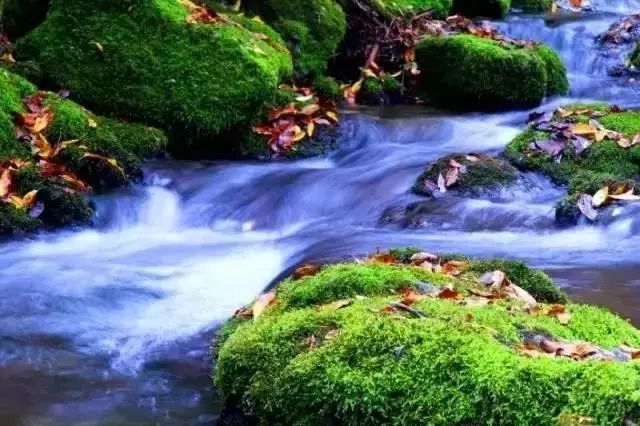 2022年宝鸡避暑好去处,宝鸡周边夏日避暑绝佳去处