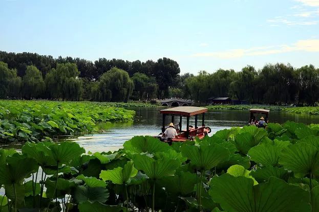 明天入伏你准备好了吗,今天是入伏的哪一天