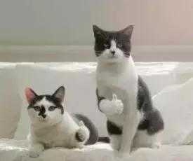 机票退改签能退多少钱,现在机票退改签还需要收费吗