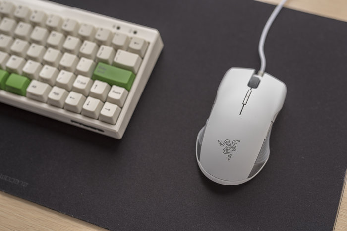 雷蛇razer锐蝮蛇竞技版打我的世界,razer雷蛇锐蝮蛇竞技版评测