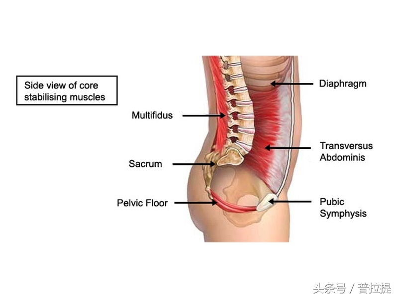 弱弱的盆底肌，并不是凯格尔能简单修复的，普拉提才是最好的方式