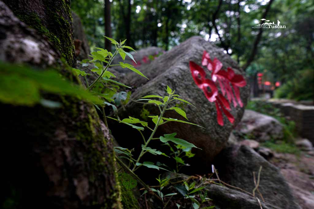 陕西除了黄土高坡,更有临渭迷人的青山绿水