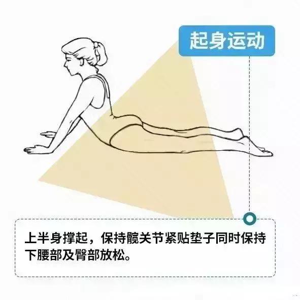 腰间盘突出：针对夏季的康复锻炼，坚持一个月，养出好腰椎！