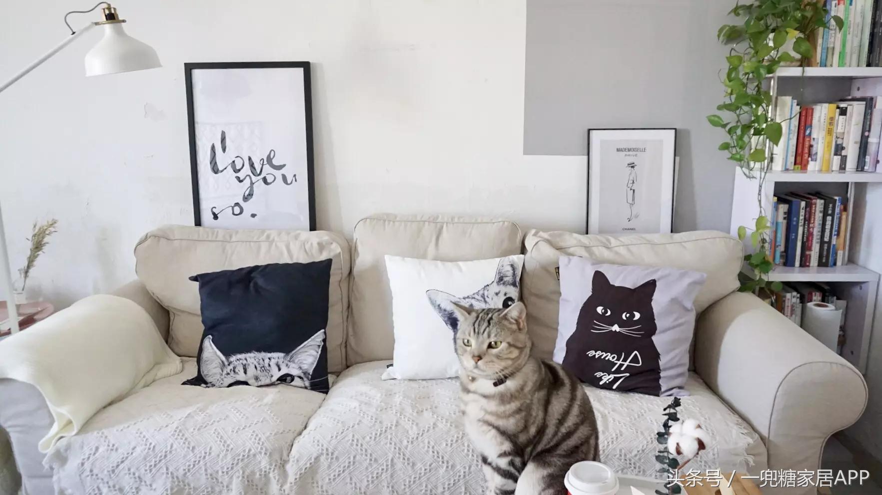 手指褪皮，用坏6对手套，90后美女爆改破旧公寓，是我小瞧你了！