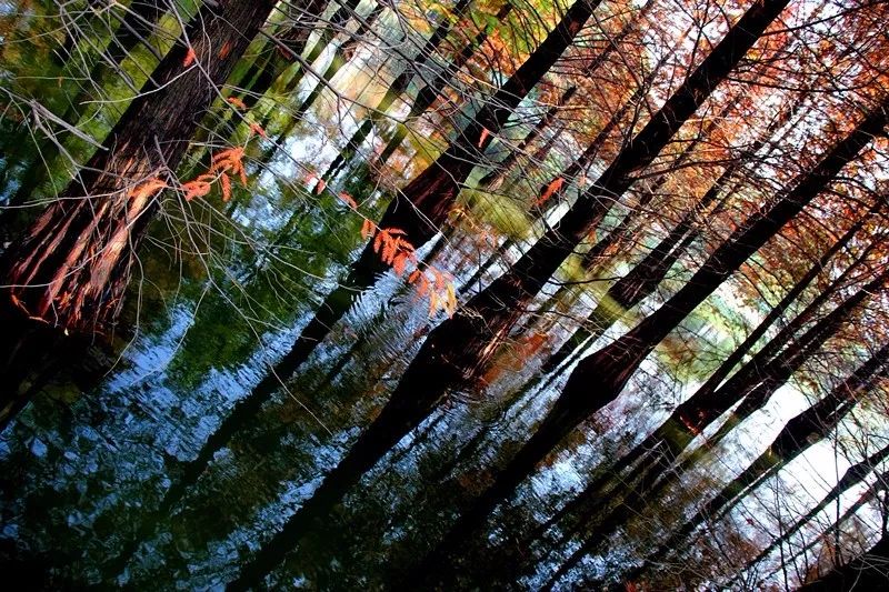 常州十大免费景点,常州所有公园都免费吗