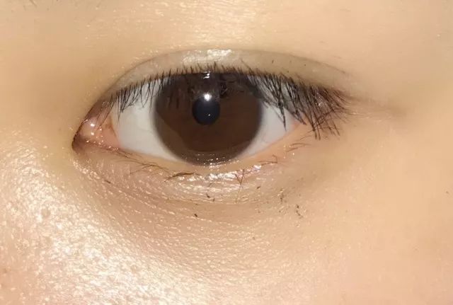 睫毛膏10大品牌推荐,平价卷翘睫毛膏测评