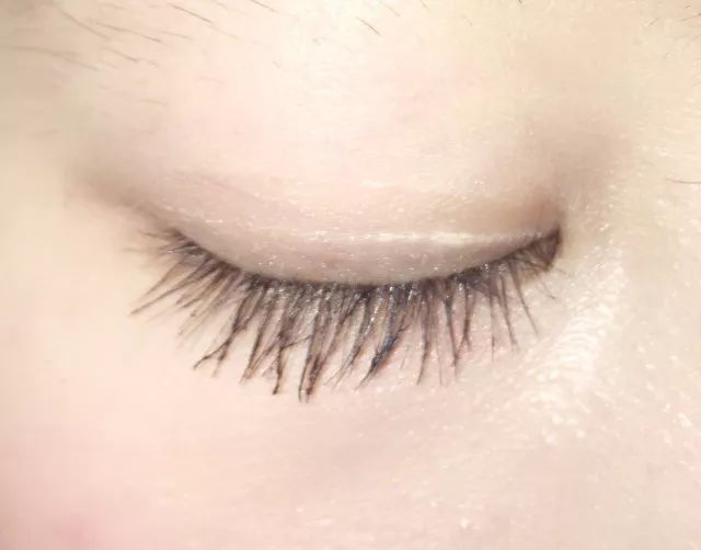 睫毛膏10大品牌推荐,平价卷翘睫毛膏测评