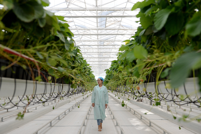 解码城市营销思路,解码城市高质量发展