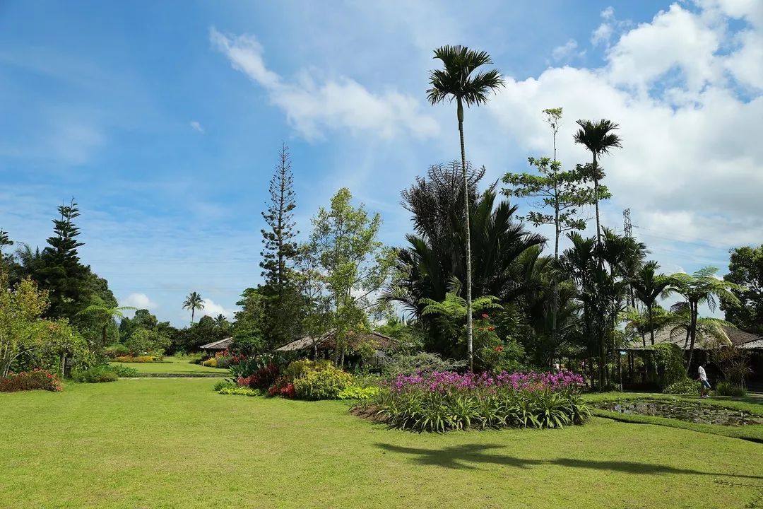 印尼美娜多潜水,印尼美娜多潜水考证