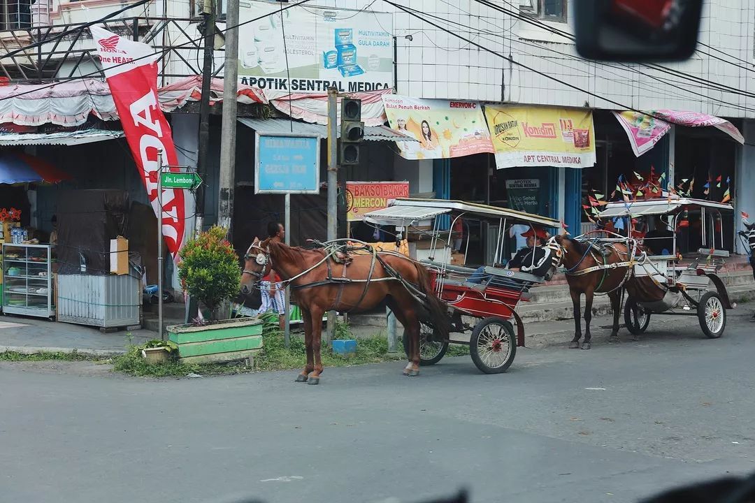 印尼美娜多潜水,印尼美娜多潜水考证