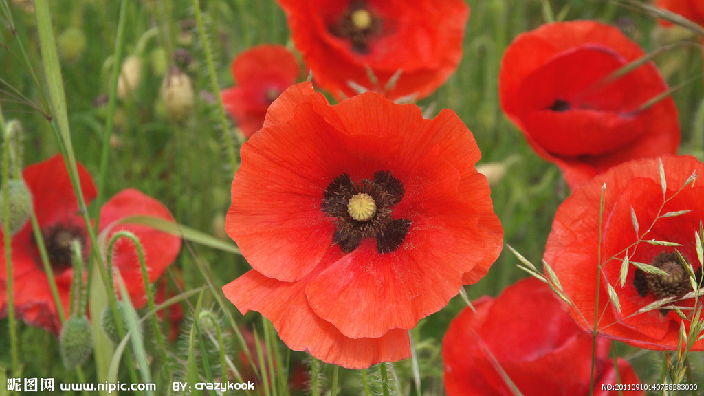 老公幻想我出轨怎么办,总是幻想老公出轨是什么情况