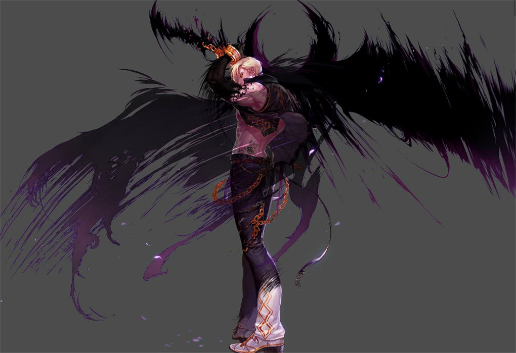 dnf黑暗武士是智力还是力量,dnf黑暗武士是什么职业