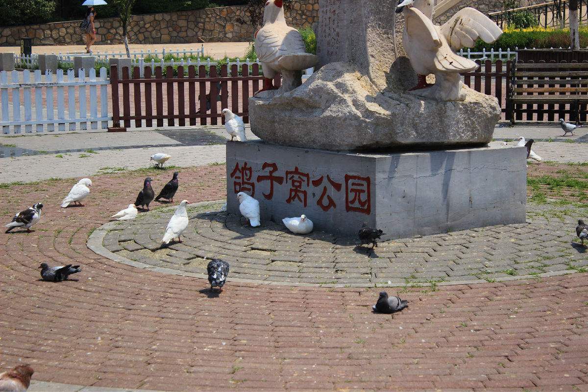 秦皇岛抚宁县免费旅游景点大全,秦皇岛旅游景点大全门票价格