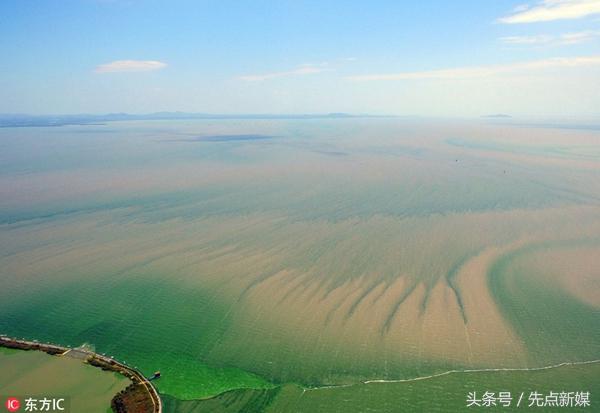 夏季巢湖西北岸蓝藻集中的原因,高温天气巢湖蓝藻爆发