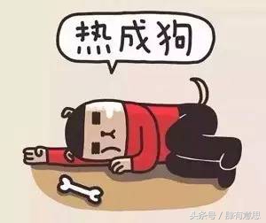 重庆热还是其他地方热,鹿晗热巴当时多火