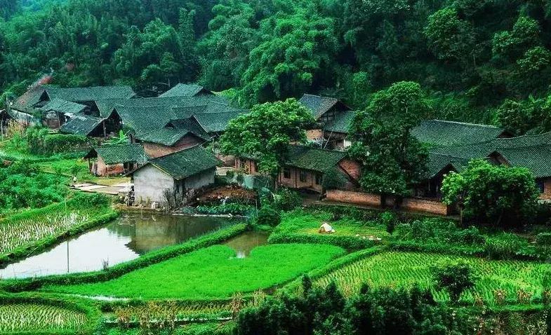 藏不住了重庆这个小城太美了,藏不住了四川话