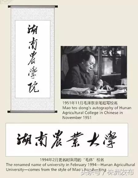 没错，湖南省就是当之无愧的教育大省！