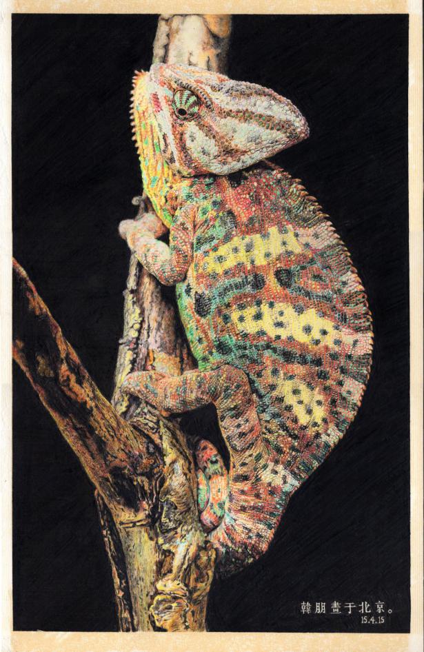 新手彩铅绘画选什么本子,彩铅画初学者适合买什么纸