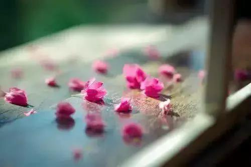 愿陪君醉笑三千场不诉离殇意思,醉笑陪君三千场不诉离殇写给谁的