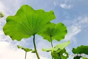 脾虚脸上长痘喝红豆薏米茶吗,长痘的可以喝红豆薏米茶吗