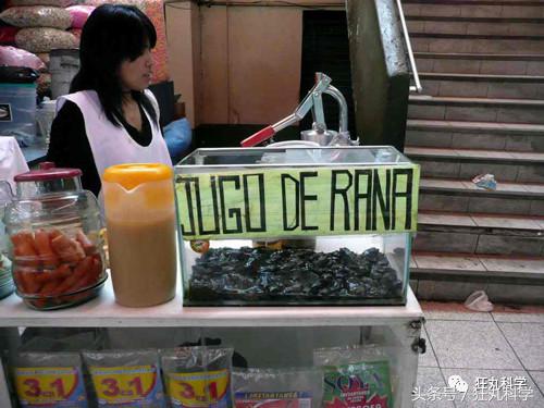 不可思议的重口味饮品：青蛙榨汁、蟑螂制奶？