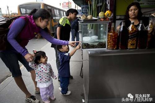 不可思议的重口味饮品：青蛙榨汁、蟑螂制奶？