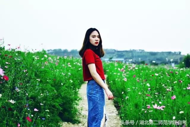 湖北第二师范学院查看新学期课表,湖北省第二师范学院新生报到