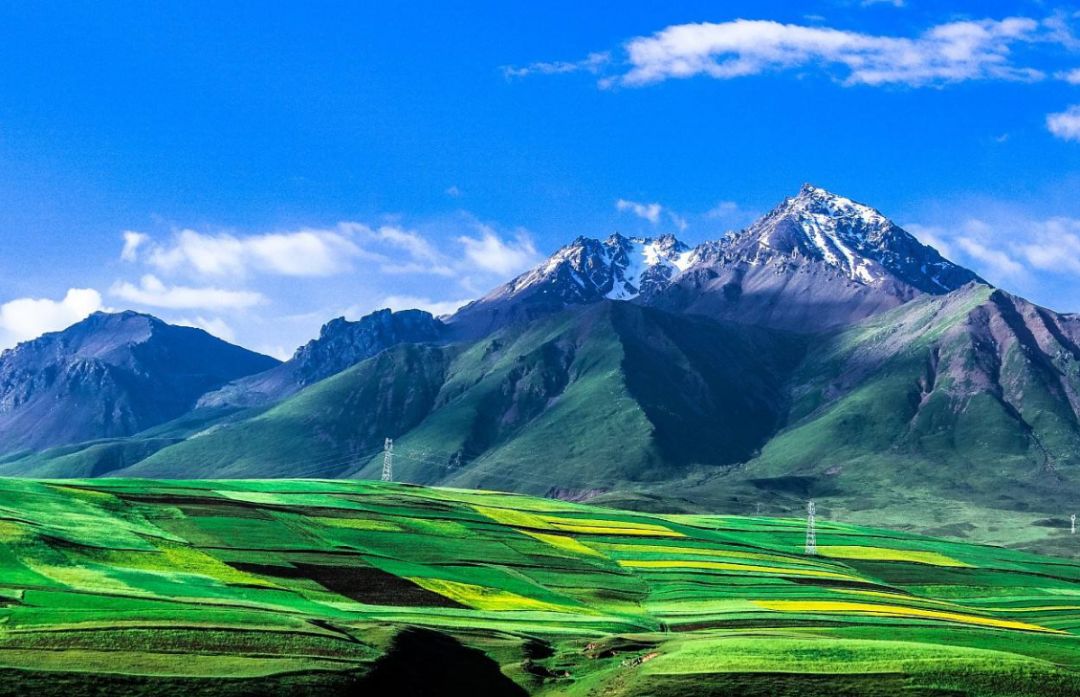 青海最大的价值是生态是谁说的,青海生态的重要性