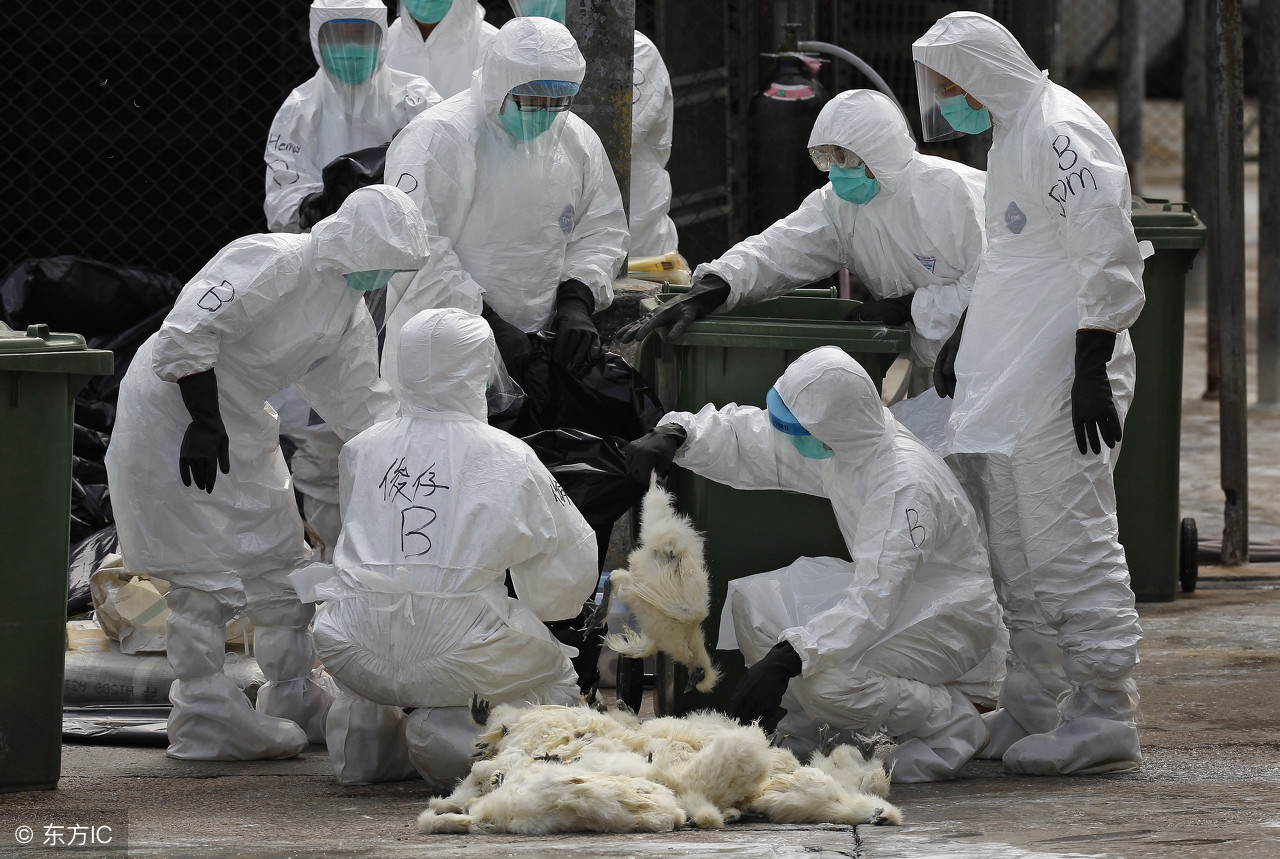 h7n9禽流感怎么防控,h7n9禽流感防控策略